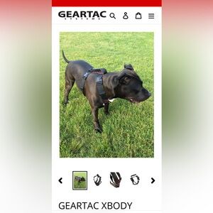 Geartac Systems Xbody dog harness with front and back leash attachment options